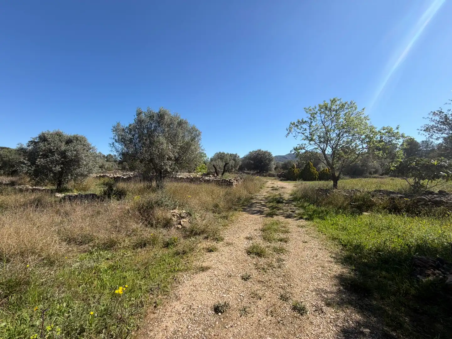 Finca rústica en venta en Tivissa