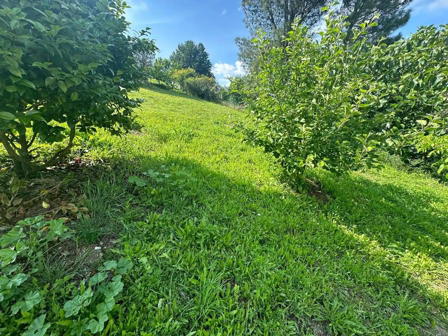 Xalet amb jardí en venda a Ventiun, imagen 66