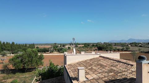 VENTA PRECIOSA FINCA RUSTICA, imagen 2