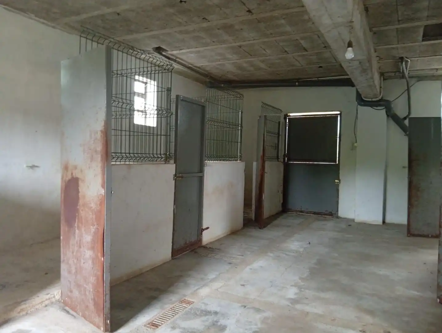 Country homes for sale in Abadín