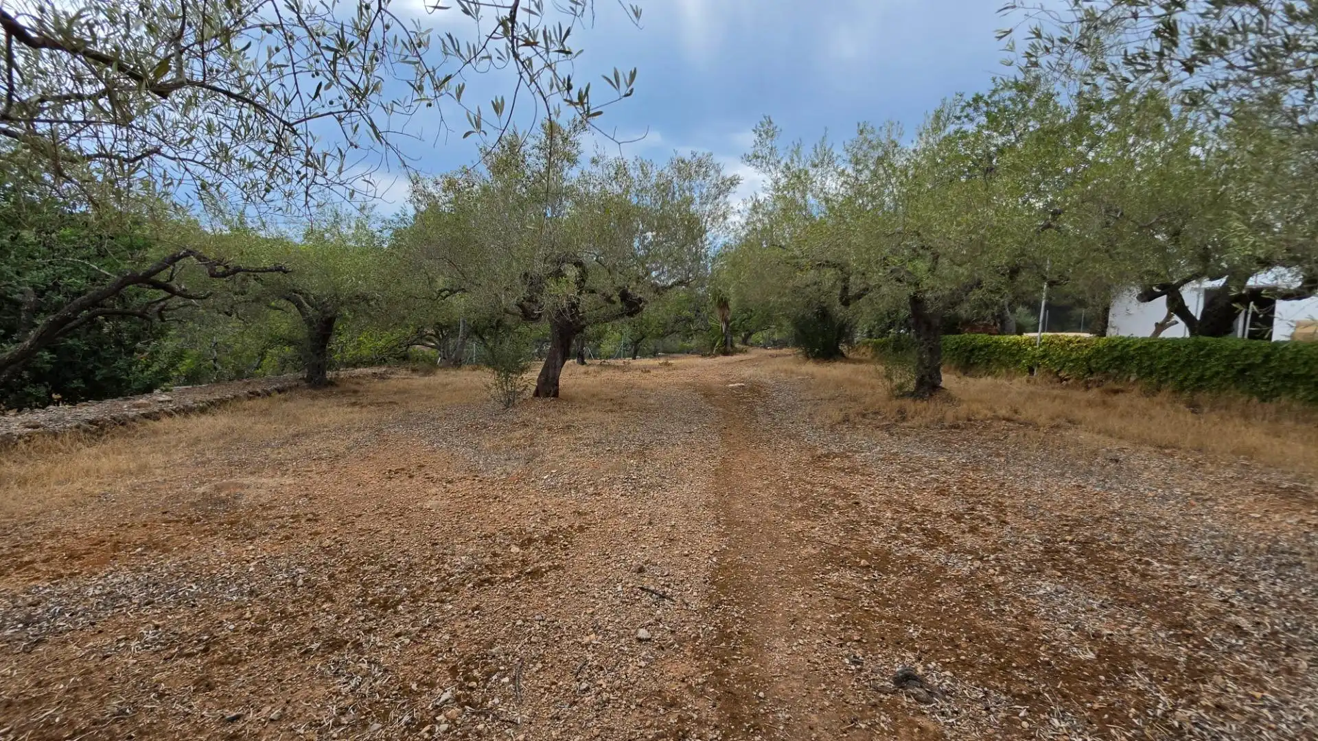Maison rustique avec piscine à vendre à El Perelló, imagen 66