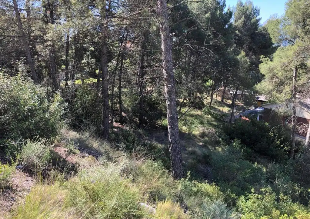 Rural land for sale in PENEDÈS, imagen 5
