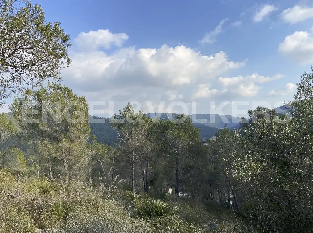 Terreno residencial en venta en Canyelles, imagen 11