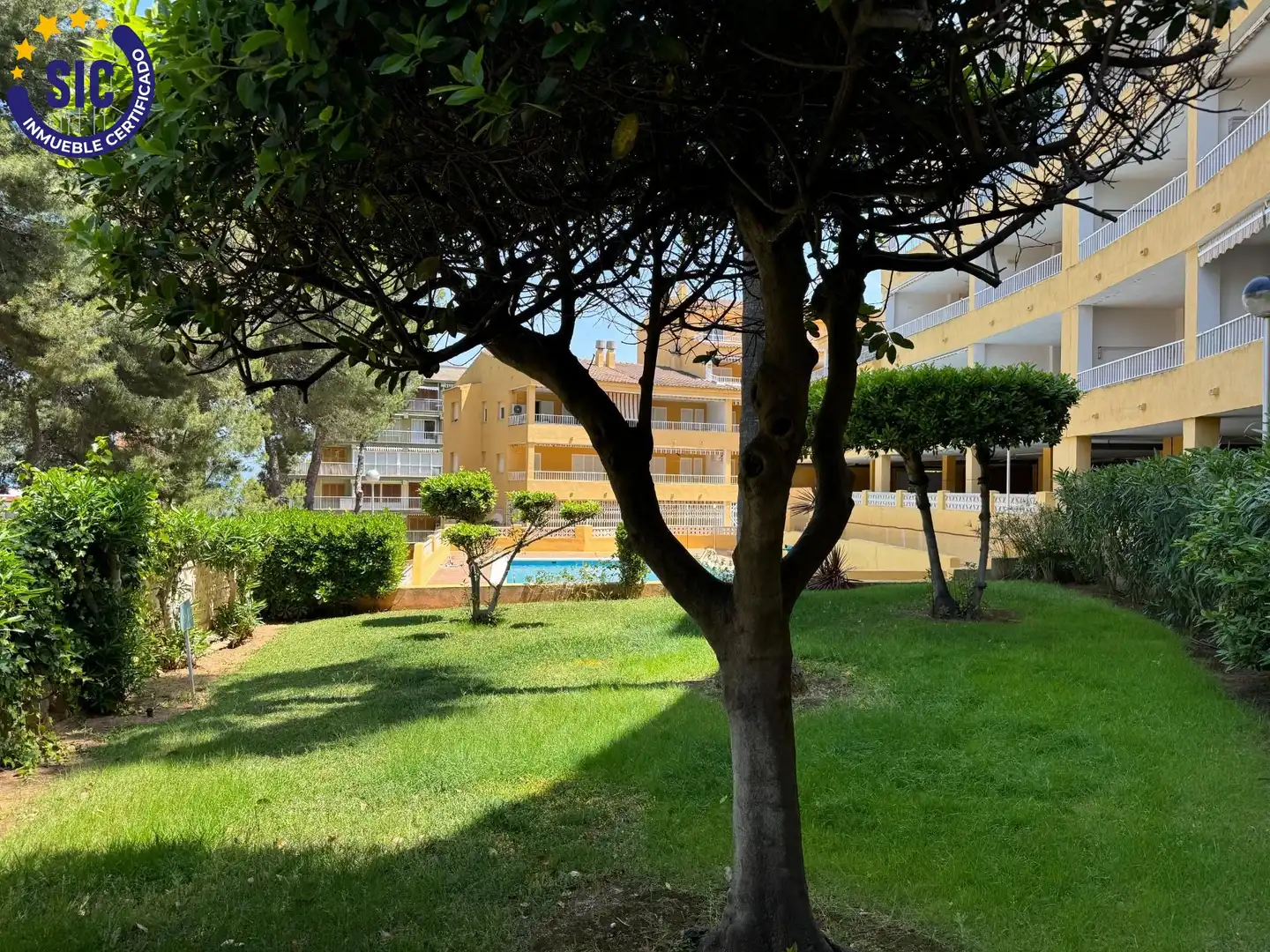 Apartamento con piscina en venta en Travesía MONT S JOSE B 22, imagen 41