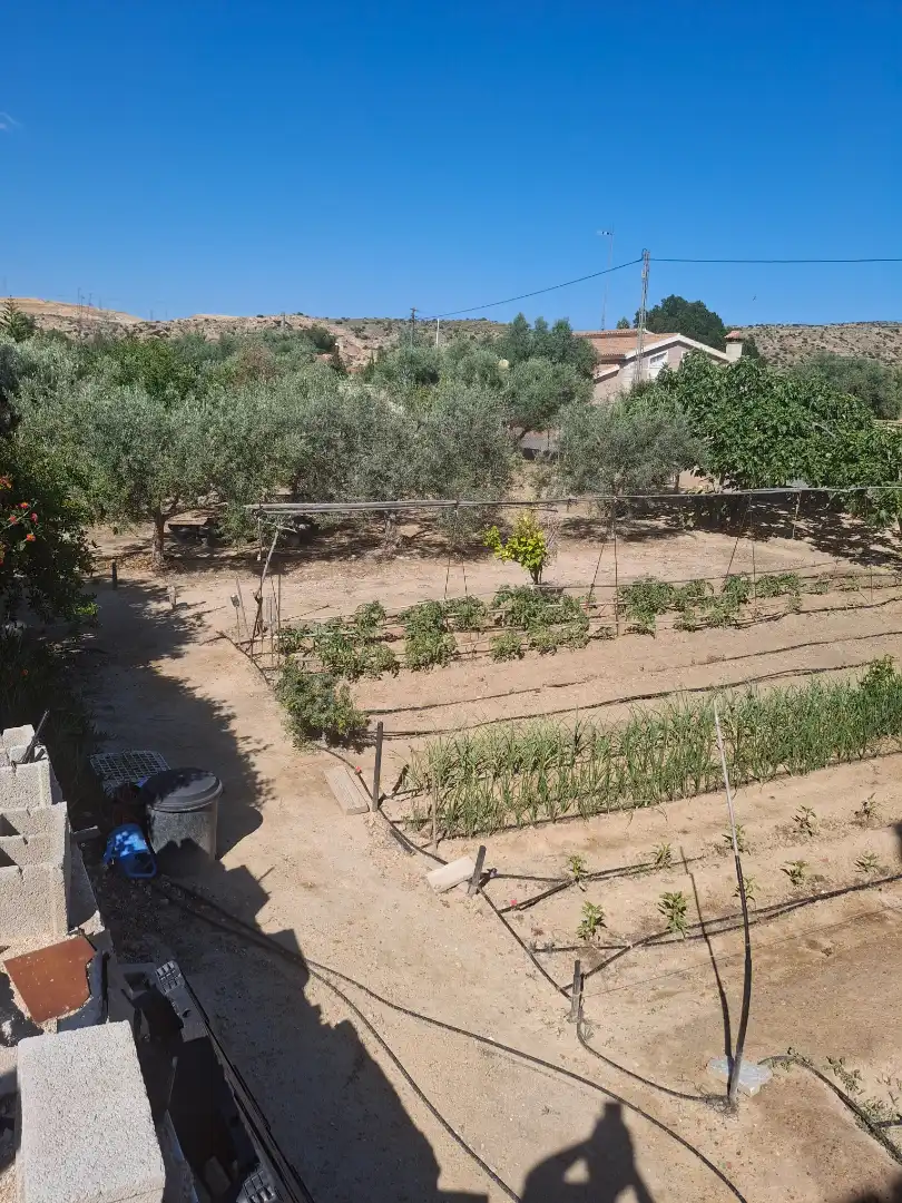 Garten von Haus oder Chalet zum Verkauf in Elche / Elx