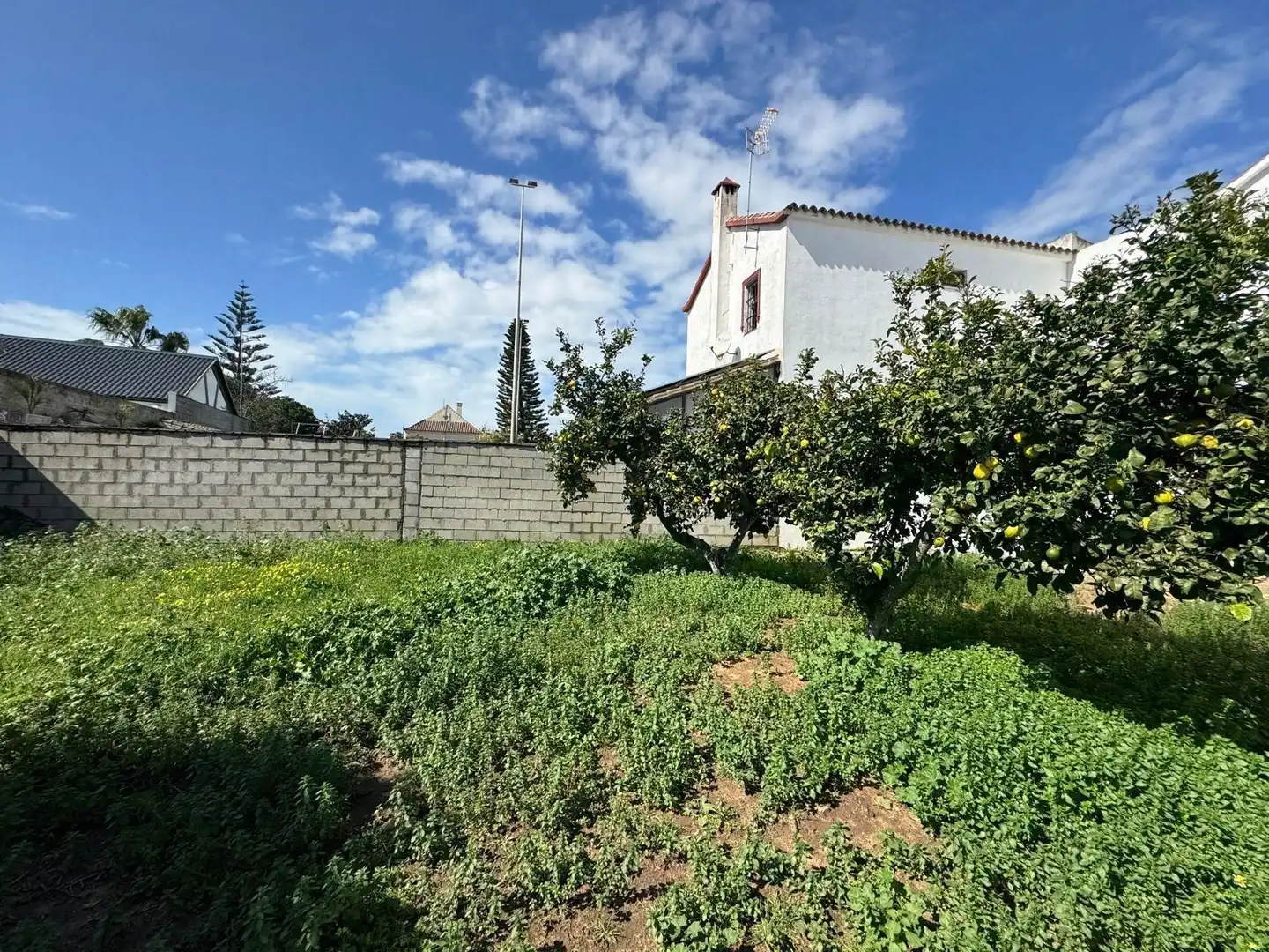 Villa mit Garten zum Verkauf in Calle MAR SERENA, imagen 32