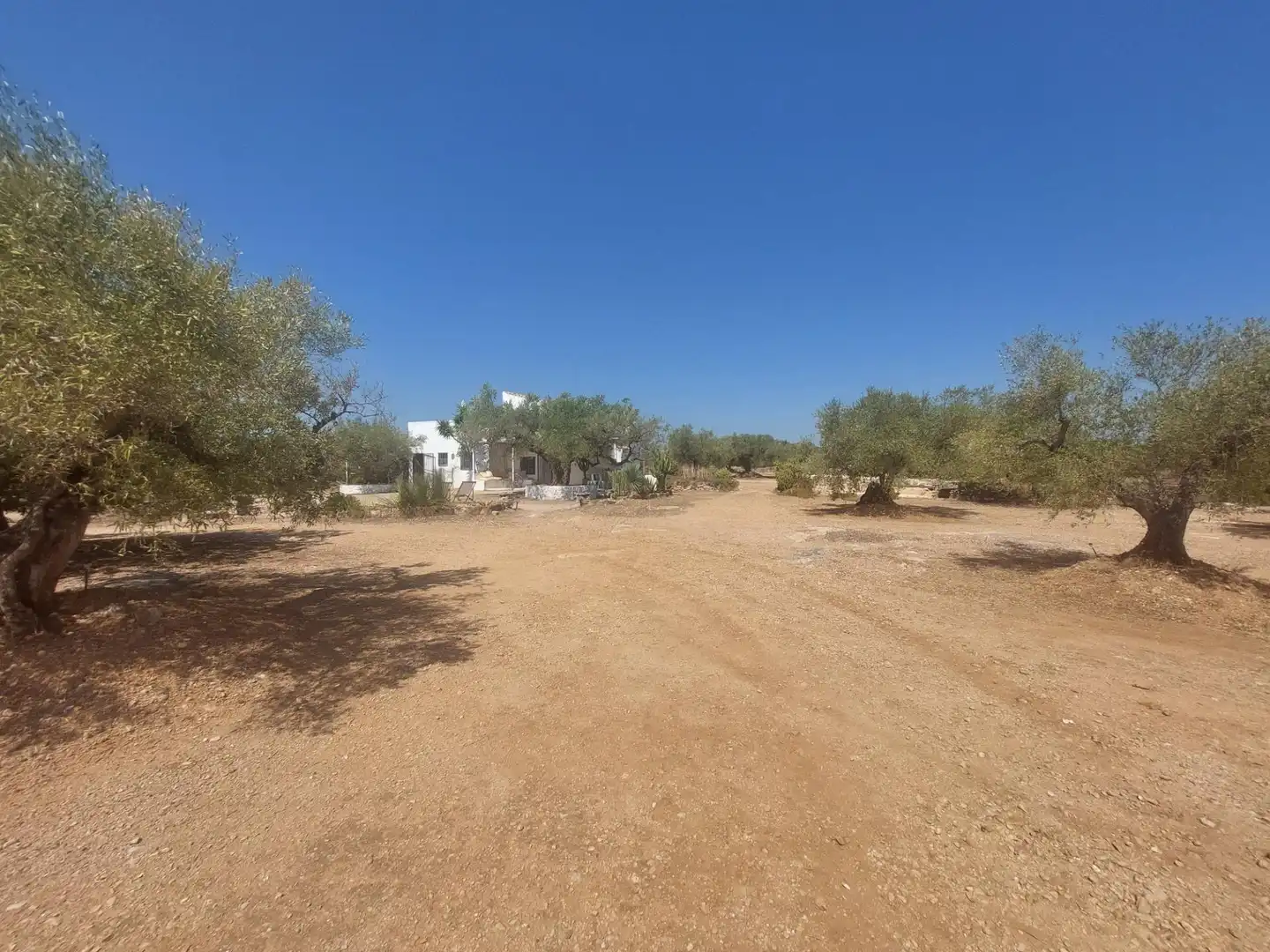 Casa amb jardí en venda a L'Ametlla de Mar pueblo, imagen 20
