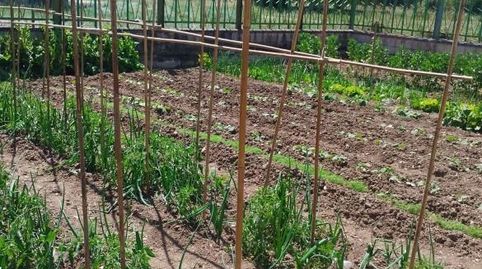 Foto 5 de Finca rústica en venta en Hurones, Burgos