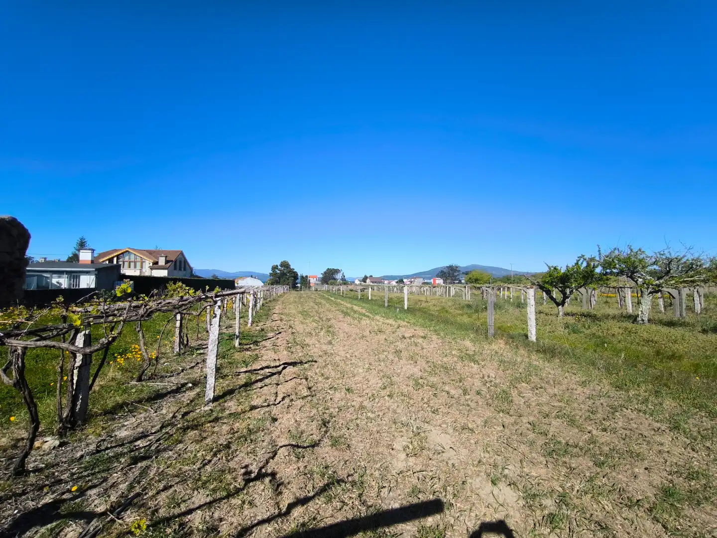 Residential for sale in Vilanova de Arousa