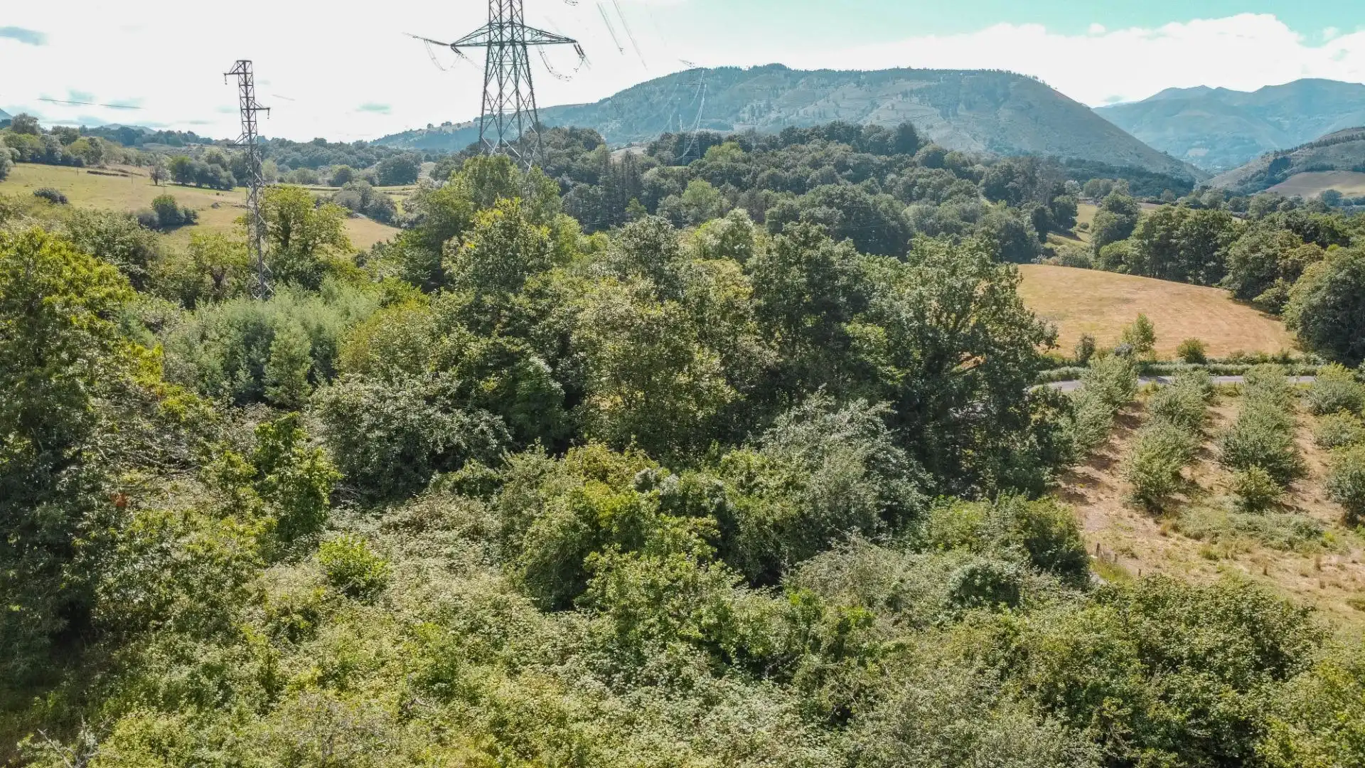 Rural land for sale in del pareo, imagen 43