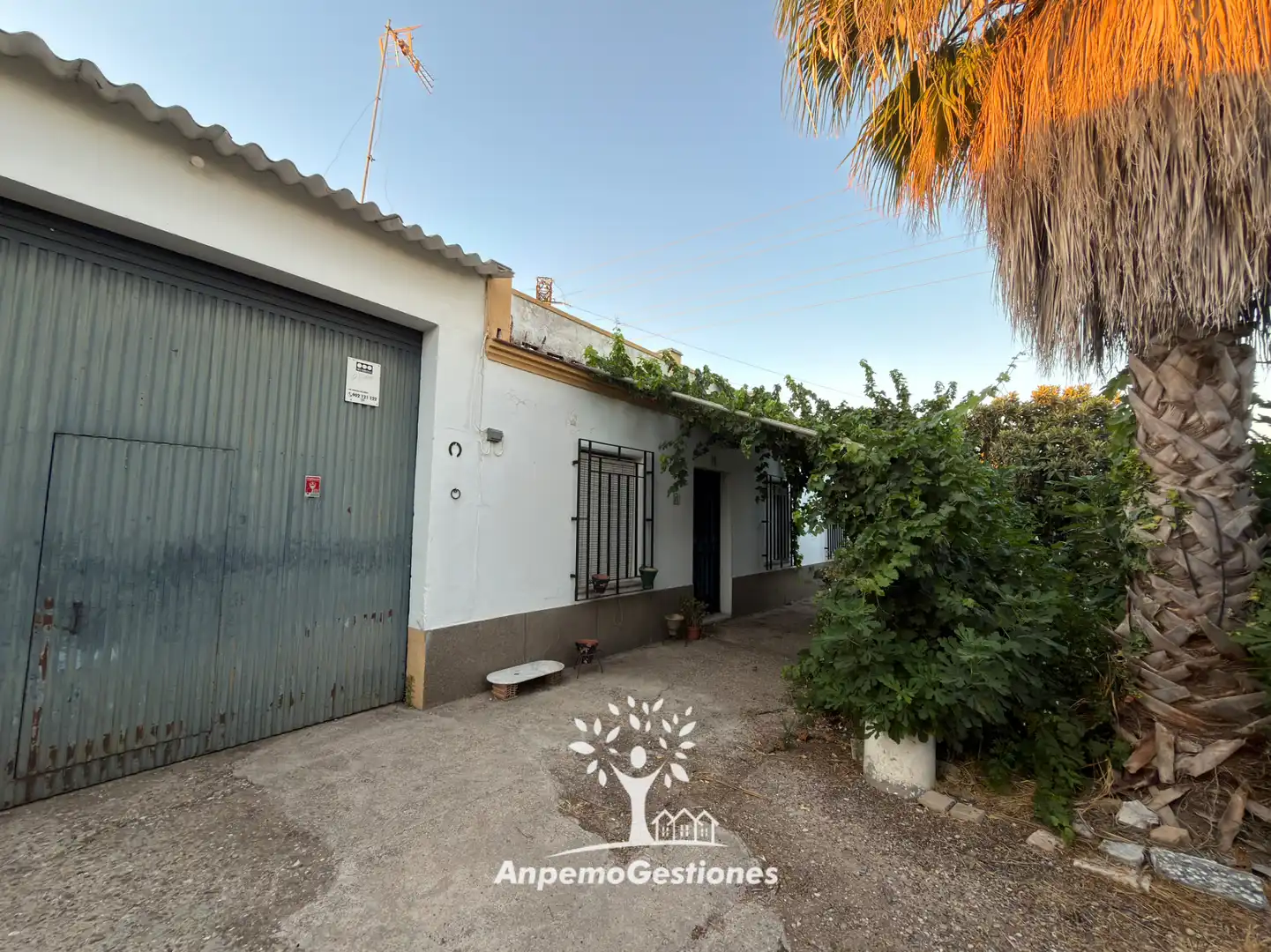 Casa amb jardí en venda a Diseminado Cr Remolino 38, imagen 8