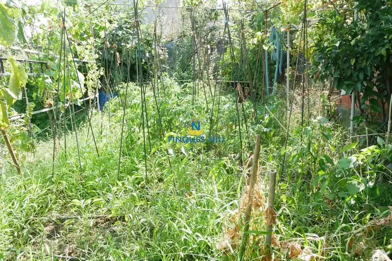 Casa amb jardí en venda a Avinguda Arbres 165, imagen 32