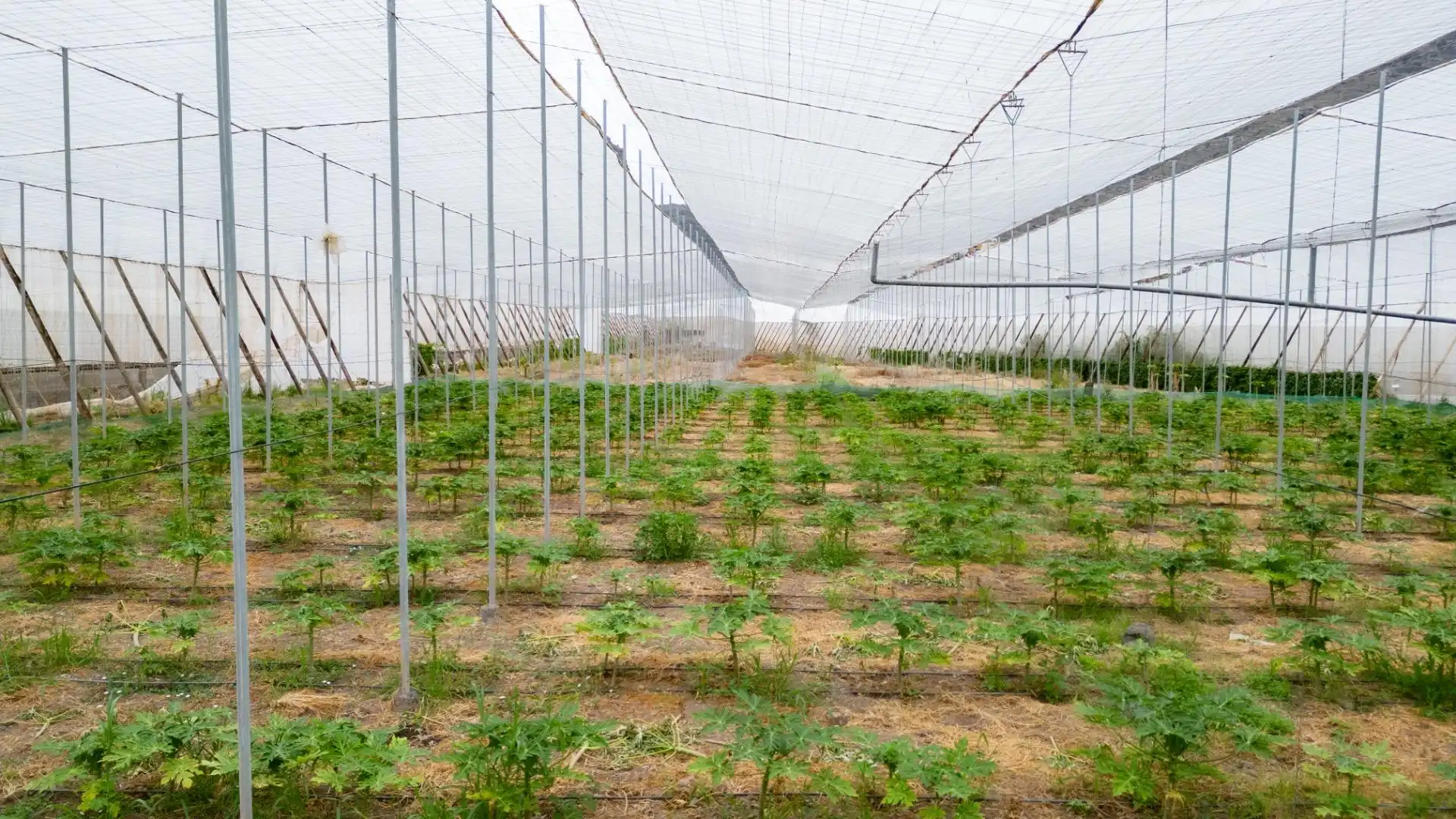Jardín de Terreno en venta en San Cristóbal de la Laguna