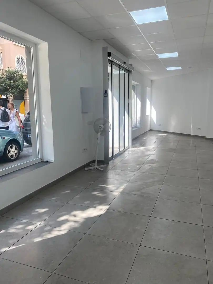 Local commercial à louer à Avenida de Vicente Blasco Ibáñez, imagen 15