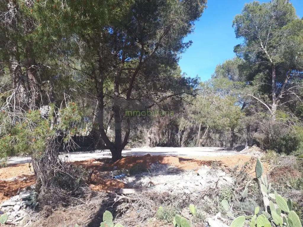 Terreno residencial en venta en Alberic, imagen 3