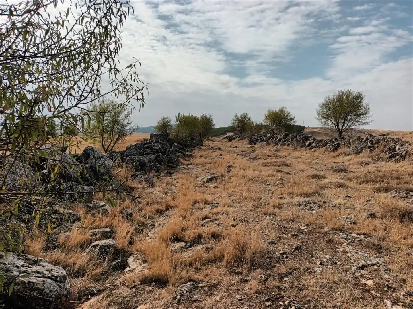Terreno en venta en Uclés