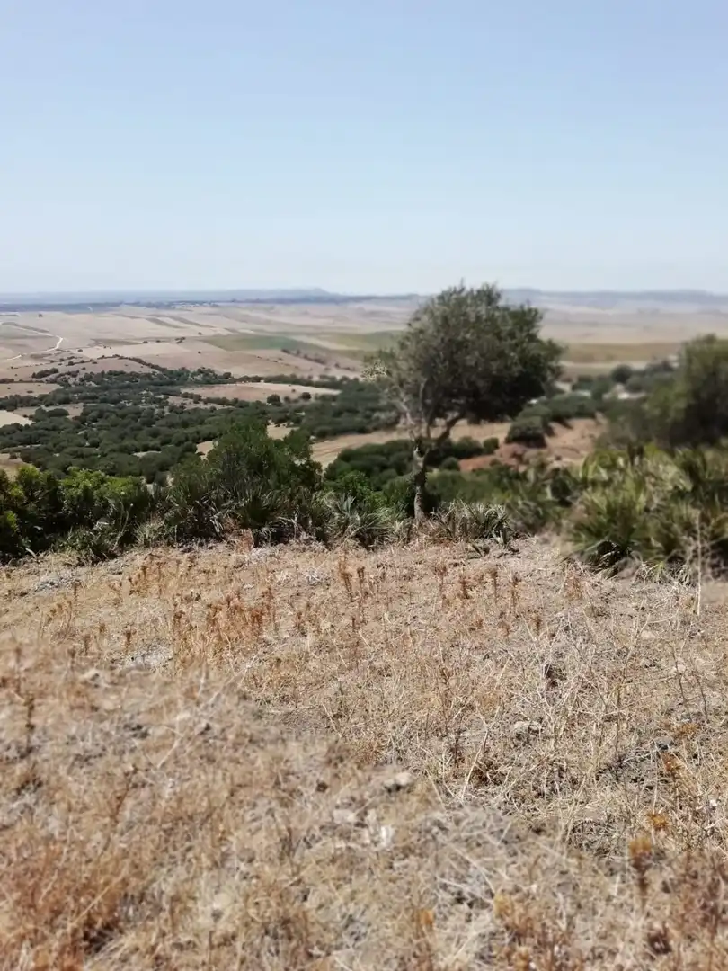 Casa rústica en venda a Medina Sidonia, imagen 9