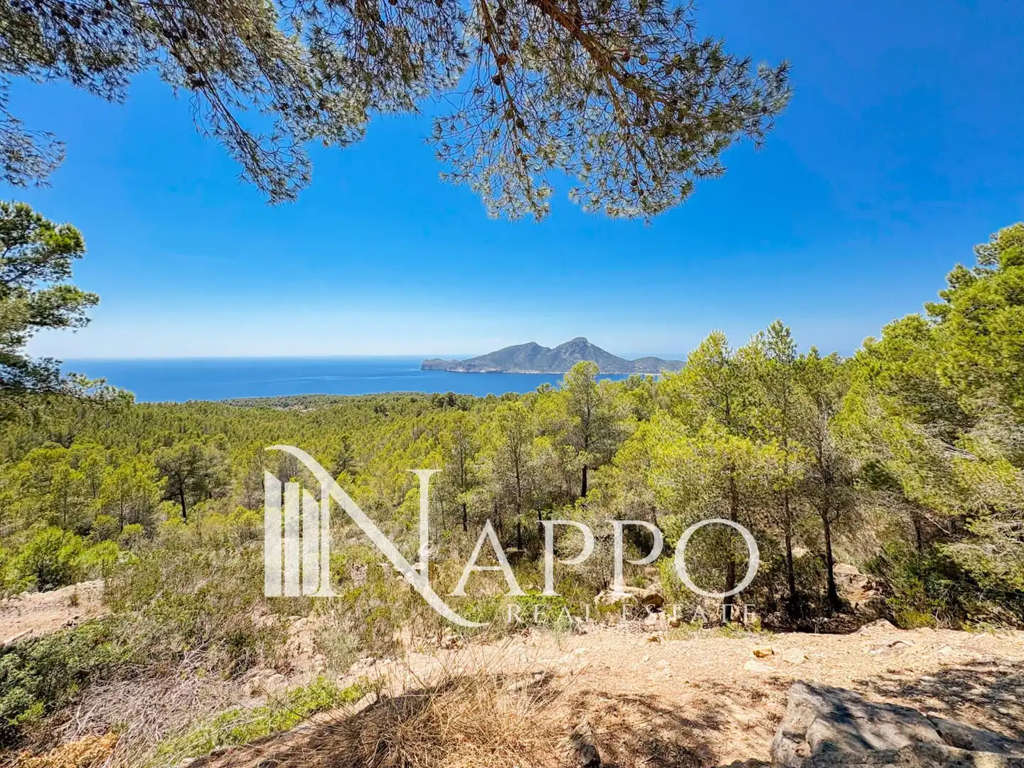 House with pool for sale in Poligono, imagen 3