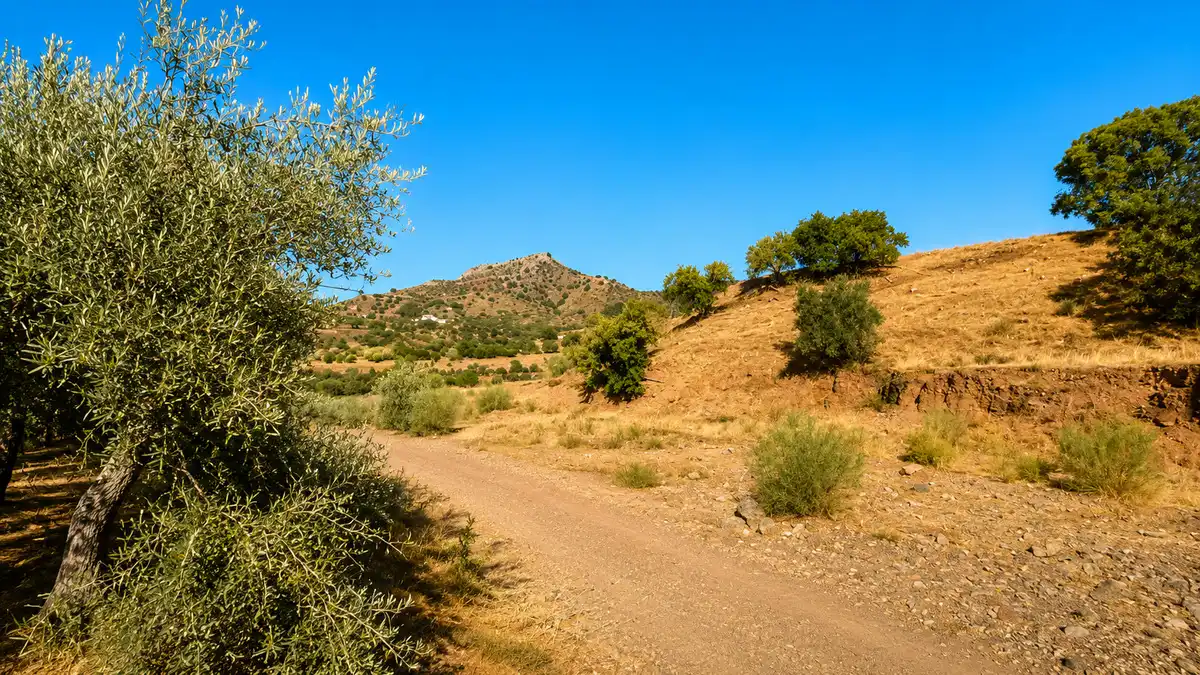 Vista exterior de Finca rústica en venta en Málaga con Aire acondicionado y Calefacción