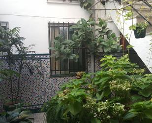 Garden of Flat to rent in  Sevilla Capital  with Furnished