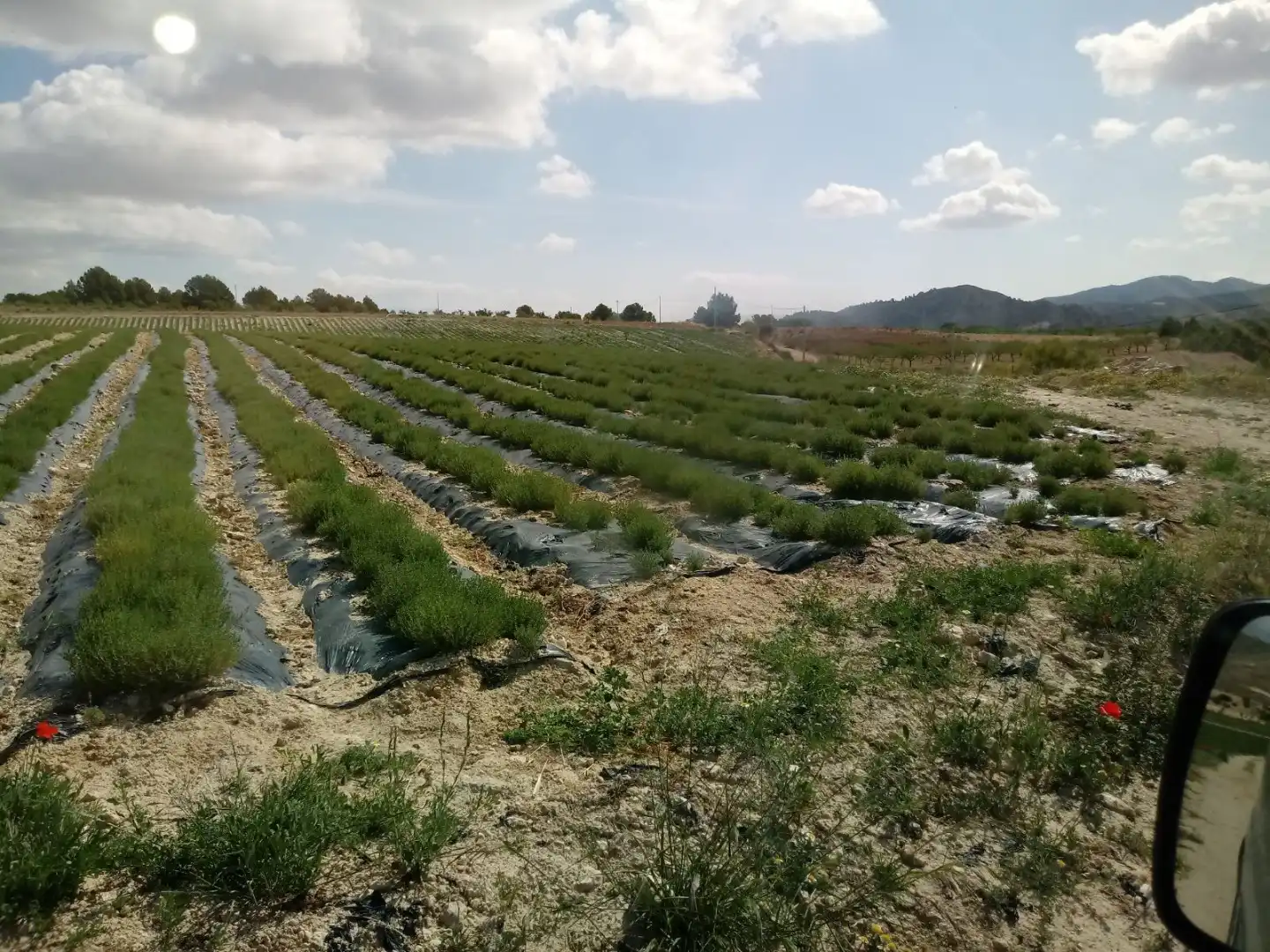 Land for sale in N/A, -1, Humbrías