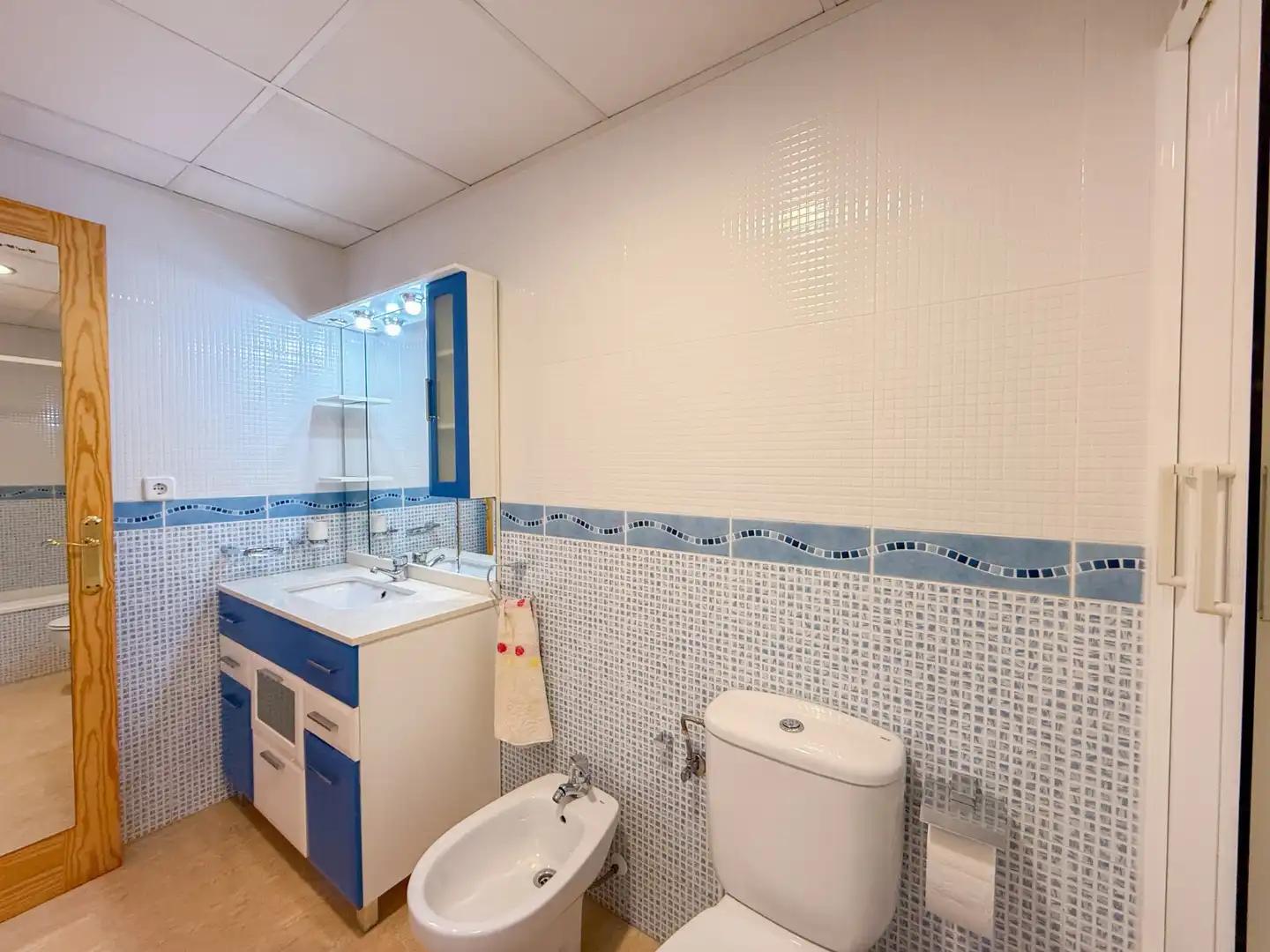 Piso con terraza en venta en Los Collados-Los Geraneos, imagen 12