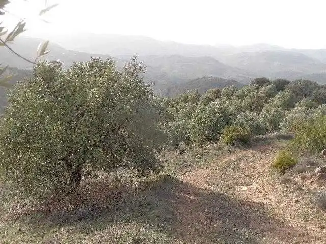 Terreni e lotti in vendita a Huelma, imagen 2