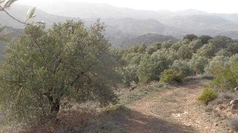 Finca Agraria en venta en Huelma (Jaén), immagine 2