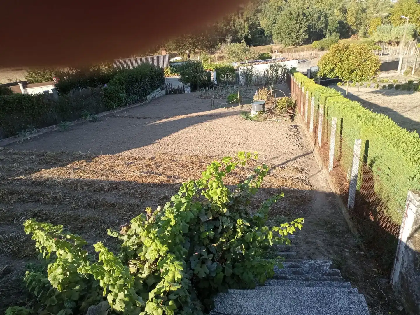 Garden of Land for sale in Ourense Capital 