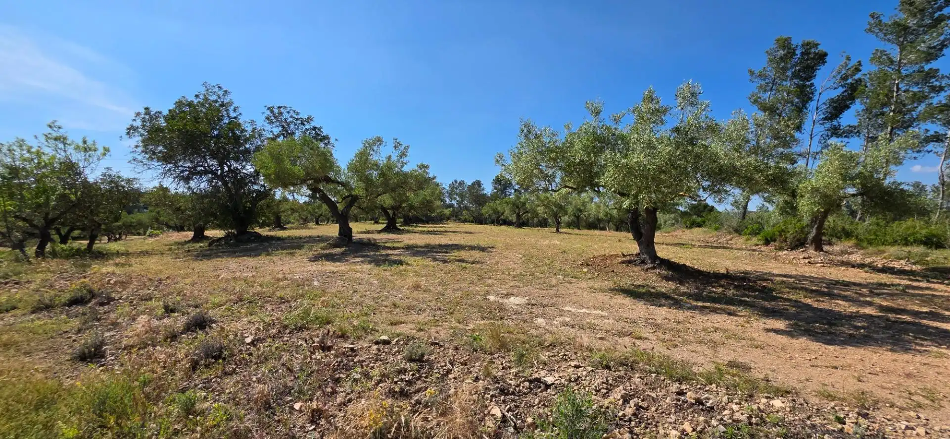 Maison rustique à vendre à Tivissa, imagen 37