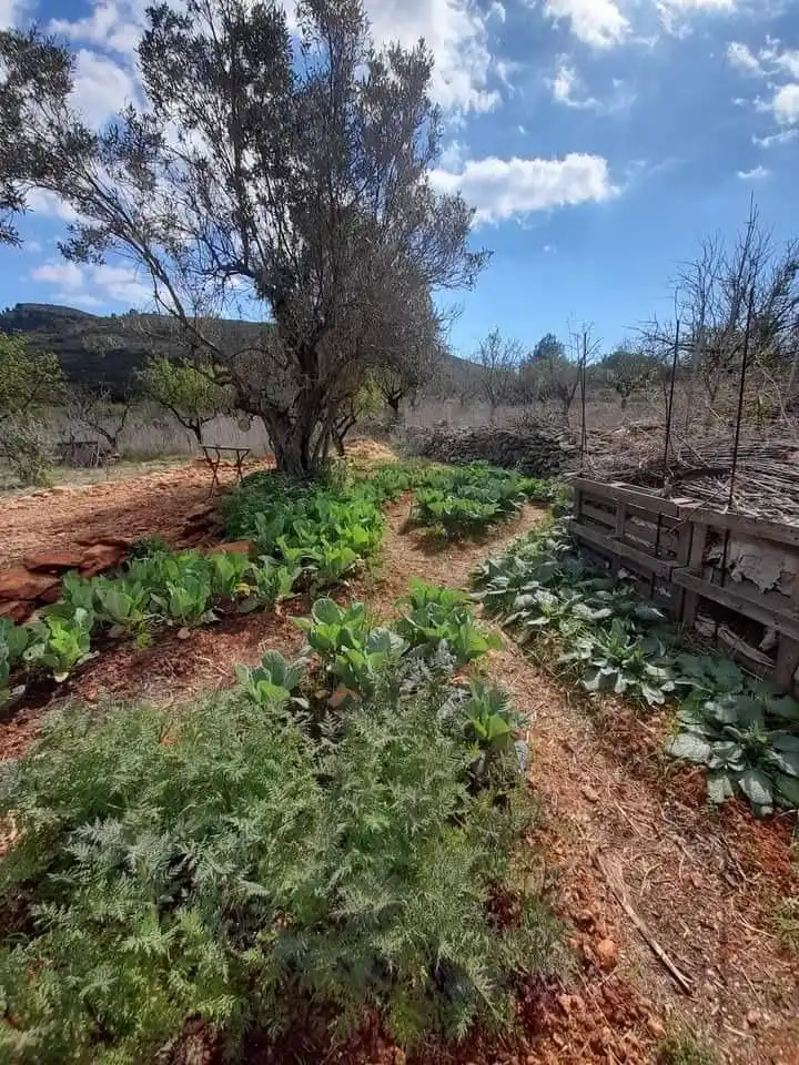 Jardín de Finca rústica en venta en Llíber