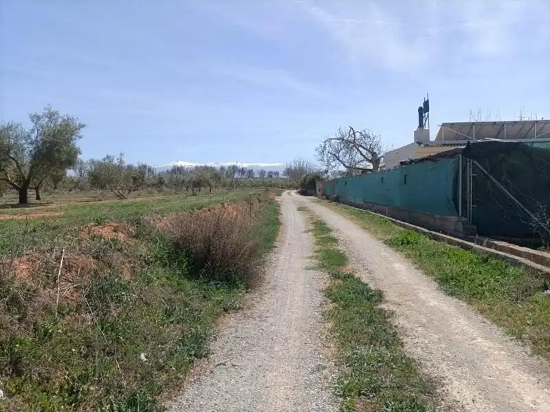 Casa rústica en venda a Polígono LA ZANJA, imagen 19