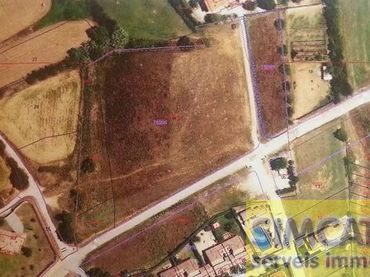 Terreni e lotti in vendita a Cistella