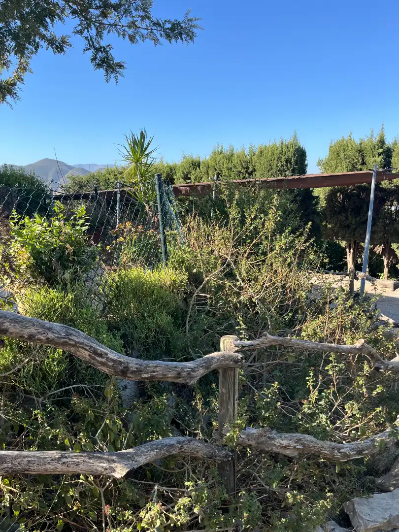 Jardín de Finca rústica en venta en Cártama con Aire acondicionado, Terraza y Amueblado