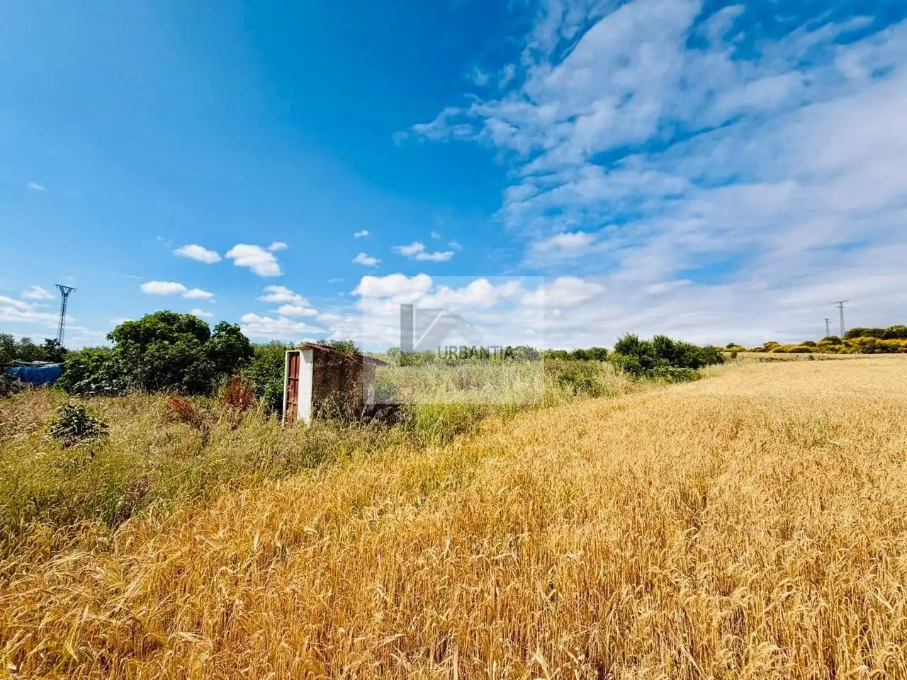 Terreno en venta en Allo
