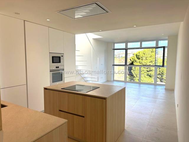 Ático en Alquiler en La Llotja - Born