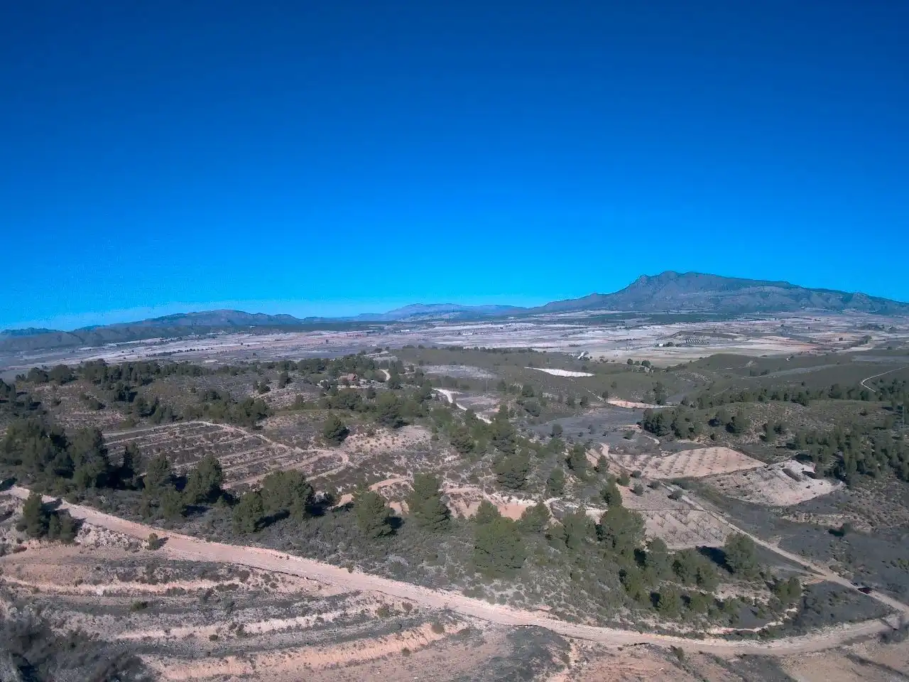 Rustikales Grundstück zum Verkauf in Jumilla, imagen 2