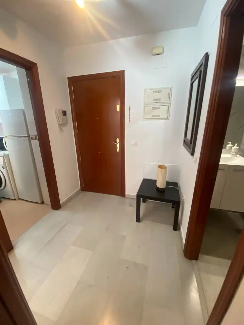 Apartments for rent in Málaga  with Air Conditioner, Terrace and Furnished
