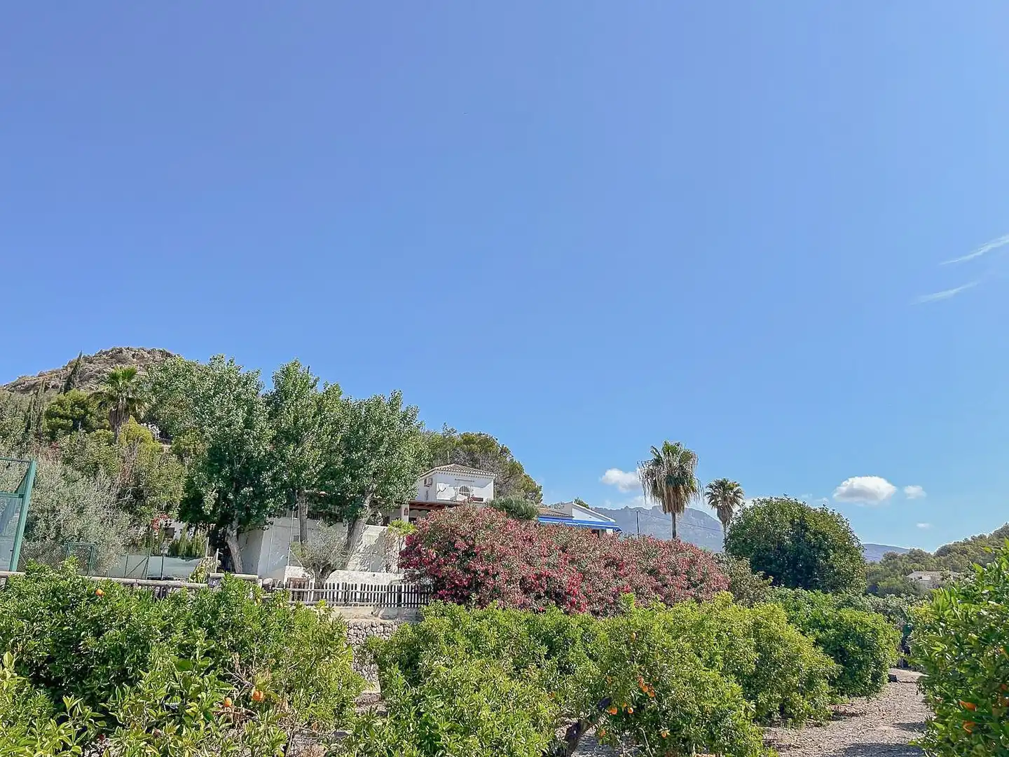 House for sale in Partida de Barranquet, imagen 35