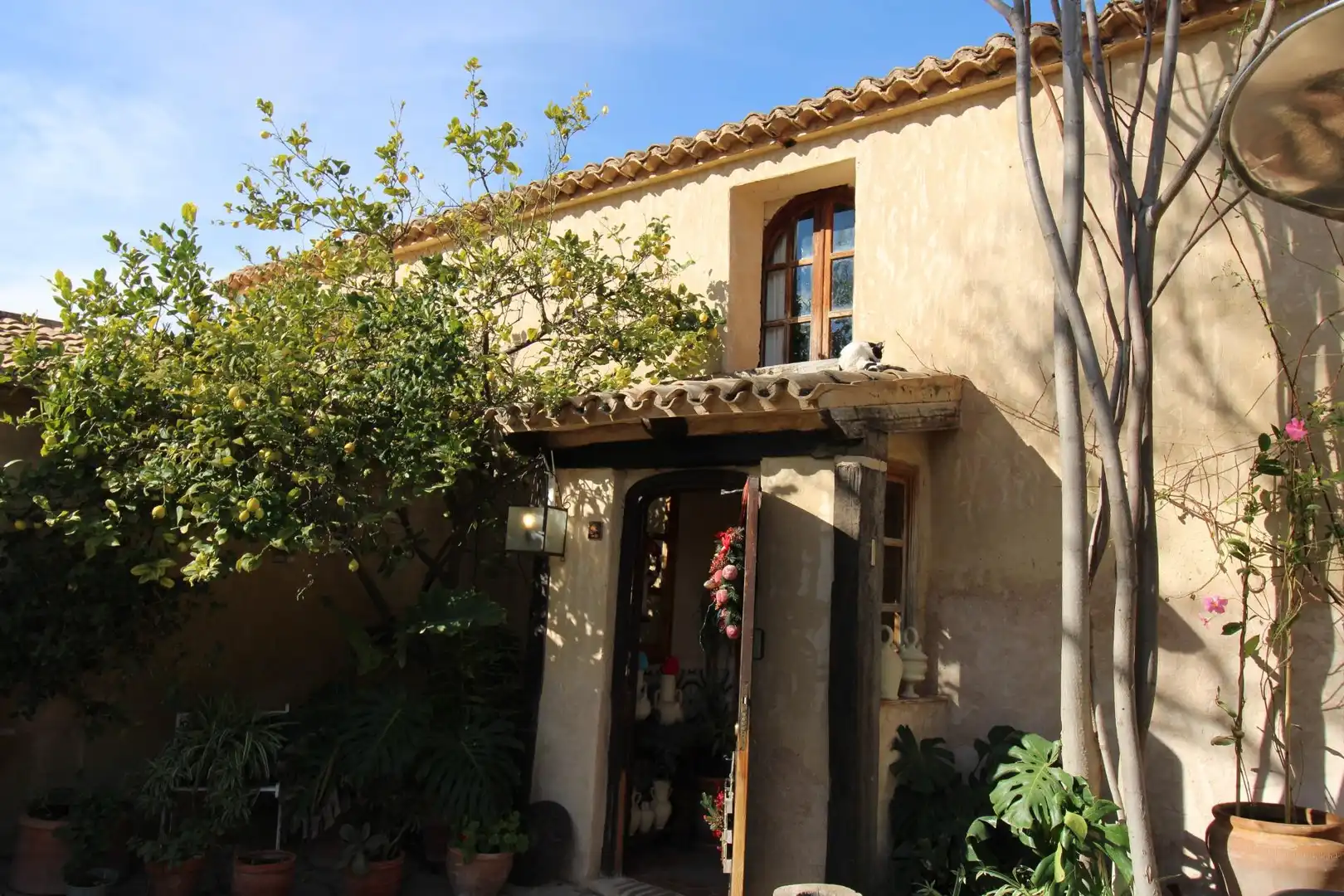 Villa avec jardin à vendre à Tibi, imagen 5