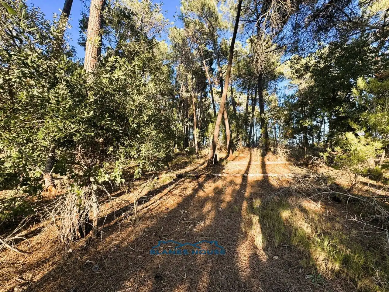 Finca rústica en venda en Tordera amb Jardí privat