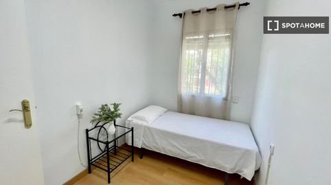 Photo 3 of Room in El Tardón - El Carmen, Sevilla Capital