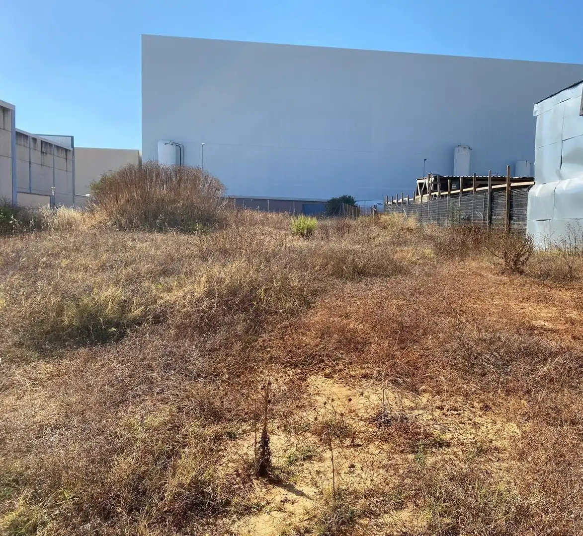 Terreno industriale in vendita a Barbate ciudad, imagen 2