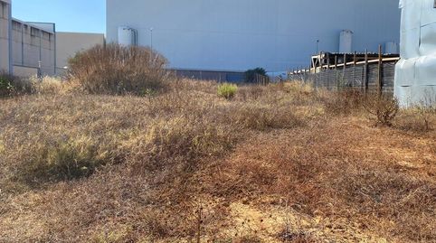 Parcela en el poligono de Barbate, immagine 2