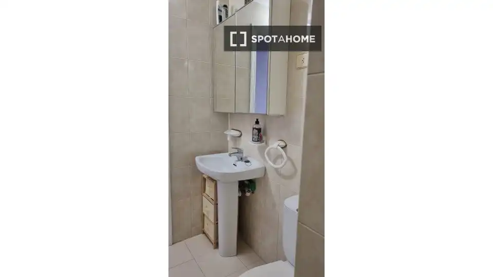 Bathroom of Flat for share in Bilbao   with Air Conditioner, Terrace and Furnished