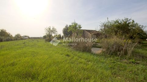 Foto 4 de Finca rústica en venta en Búger, Illes Balears