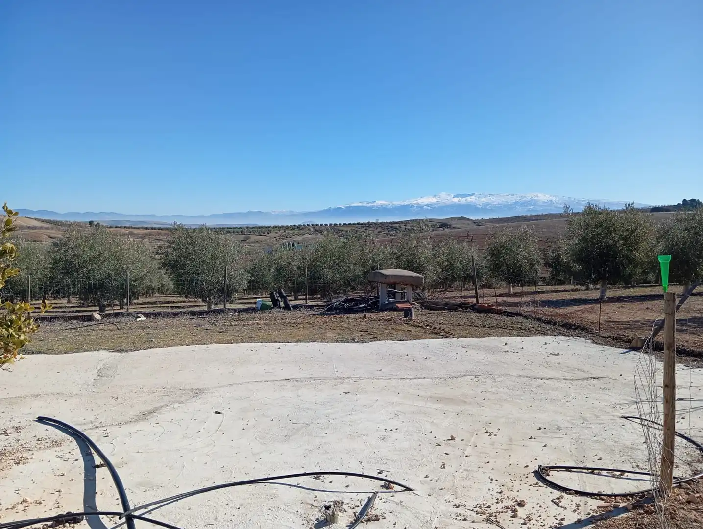 Terreno rústico en venta en Ventas de Huelma, imagen 15