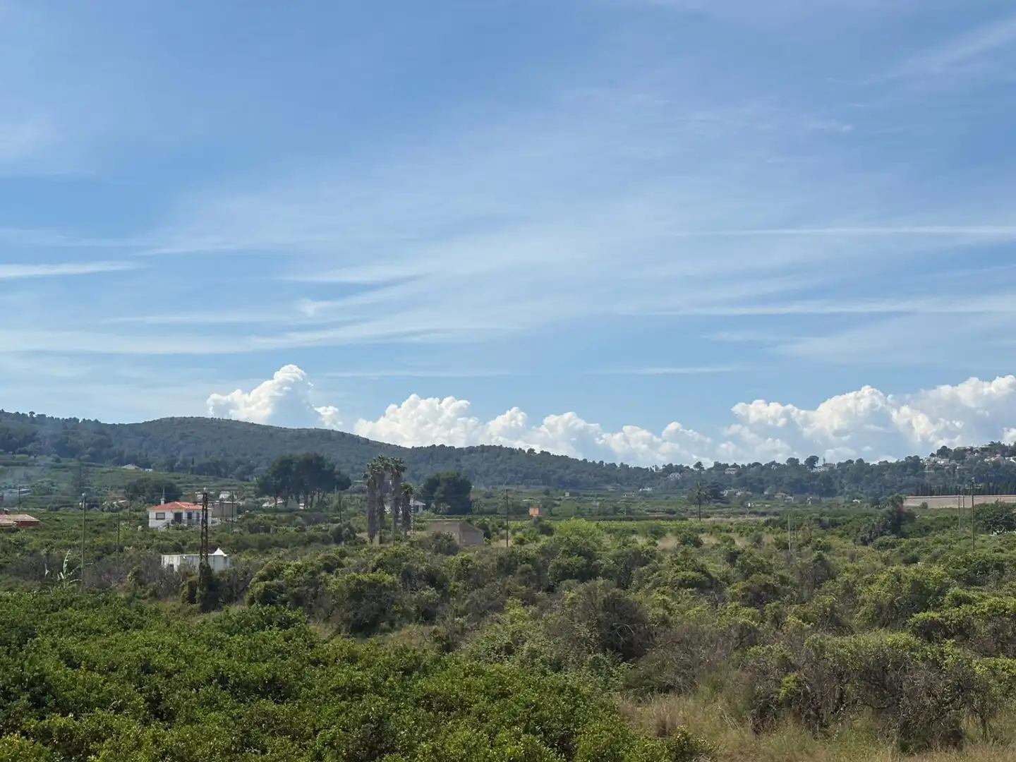 Country homes for sale in Alzira  with Private garden, Terrace and Swimming Pool