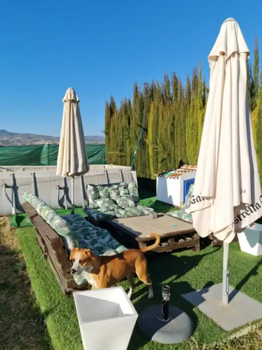 Rural land for sale in Huétor Tájar, imagen 4