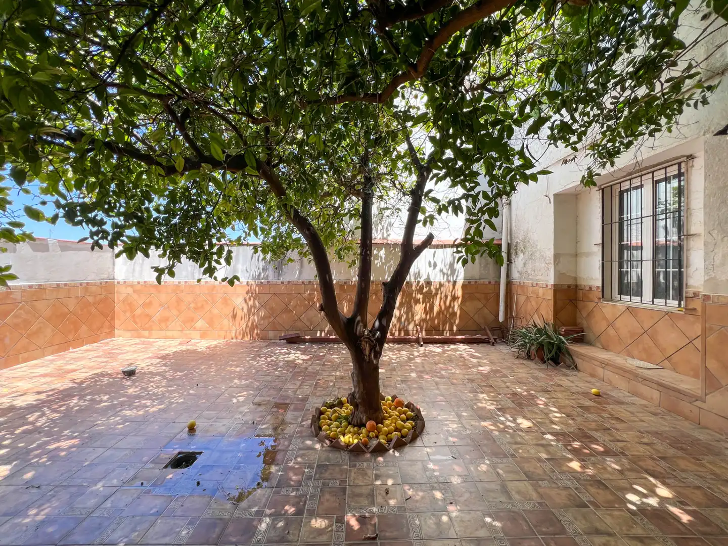 Jardín de Casa o chalet en venta en Estepa con Terraza y Trastero
